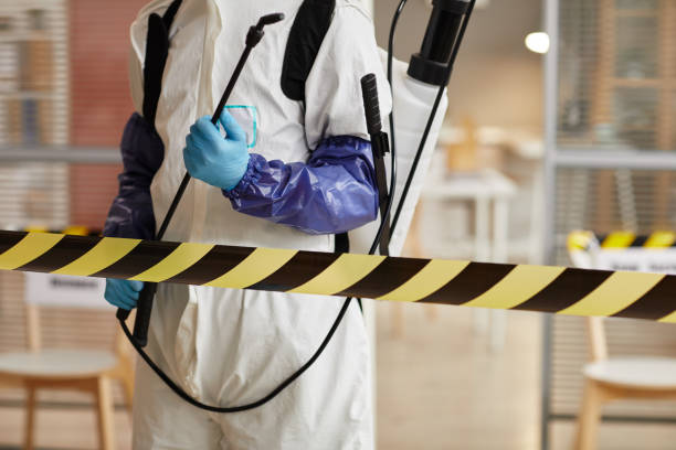 Professional Unattended Death Cleanup technician working in Baldwin, MI